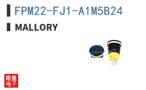 FPM22-FJ1-A1M5B24
