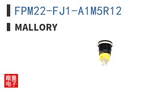 FPM22-FJ1-A1M5R12