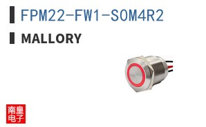 FPM22-FW1-S0M4R2