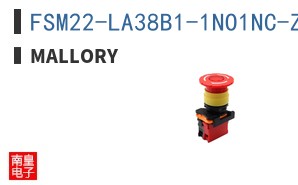 FSM22-LA38B1-1NO1NC-ZR12