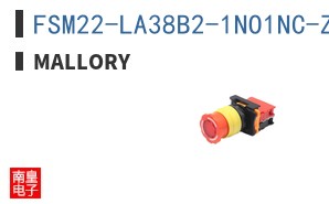 FSM22-LA38B2-1NO1NC-ZR12