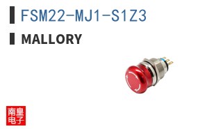 FSM22-MJ1-S1Z3