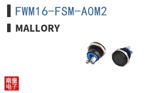 FWM16-FSM-A0M2