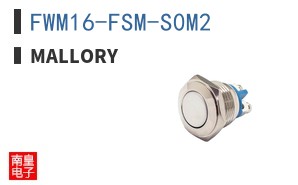 FWM16-FSM-S0M2