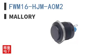 FWM16-HJM-A0M2