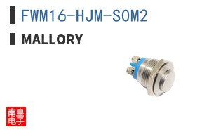 FWM16-HJM-S0M2