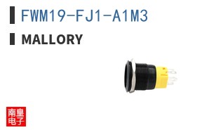 FWM19-FJ1-A1M3