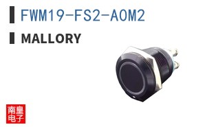 FWM19-FS2-A0M2