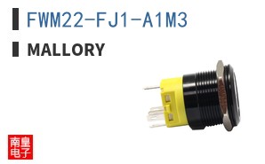 FWM22-FJ1-A1M3