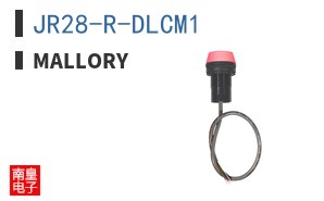 JR28-R-DLCM1