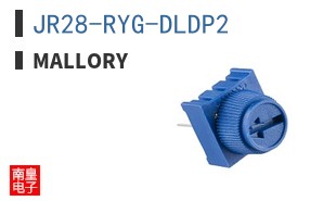 JR28-RYG-DLDP2