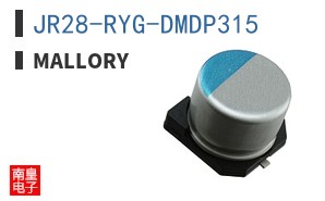 JR28-RYG-DMDP315