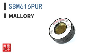 SBM616PUR