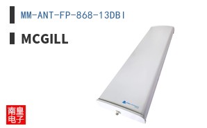 MM-ANT-FP-868-13DBI