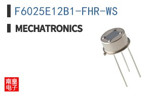 F6025E12B1-FHR-WS