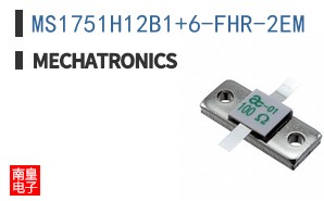 MS1751H12B1+6-FHR-2EM
