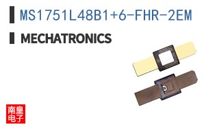MS1751L48B1+6-FHR-2EM