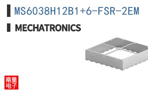 MS6038H12B1+6-FSR-2EM