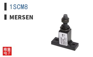 1SCM8