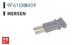 9F61CHM409