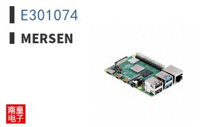 E301074