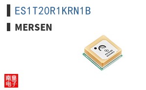 ES1T20R1KRN1B