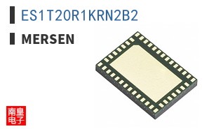 ES1T20R1KRN2B2
