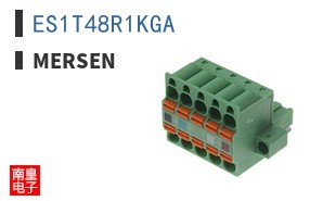 ES1T48R1KGA