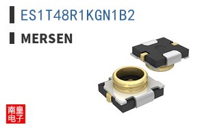 ES1T48R1KGN1B2
