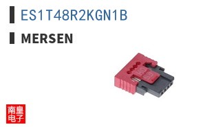 ES1T48R2KGN1B