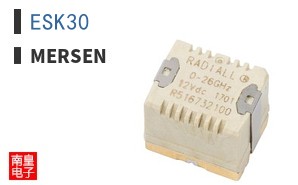 ESK30