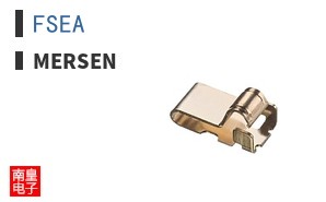 FSEA