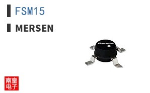 FSM15