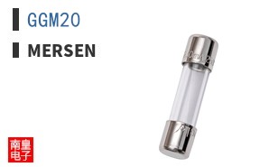 GGM20