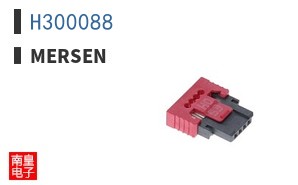 H300088