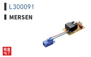 L300091