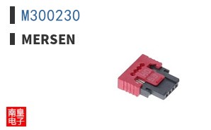 M300230