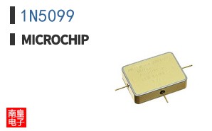 1N5099