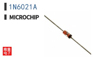 1N6021A