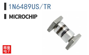 1N6489US/TR