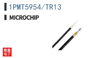 1PMT5954/TR13
