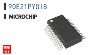 90E21PYGI8