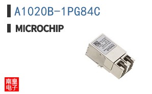 A1020B-1PG84C