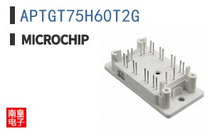 APTGT75H60T2G
