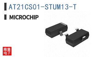 AT21CS01-STUM13-T