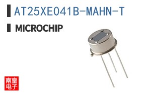 AT25XE041B-MAHN-T