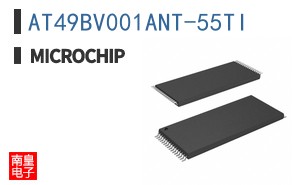 AT49BV001ANT-55TI