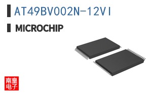AT49BV002N-12VI