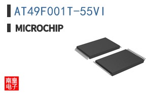 AT49F001T-55VI