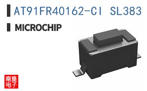 AT91FR40162-CI SL383